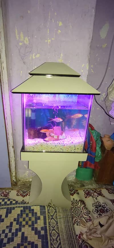 Aquarium for sale
