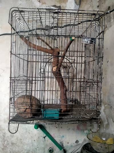 storang iron cage 03214628284