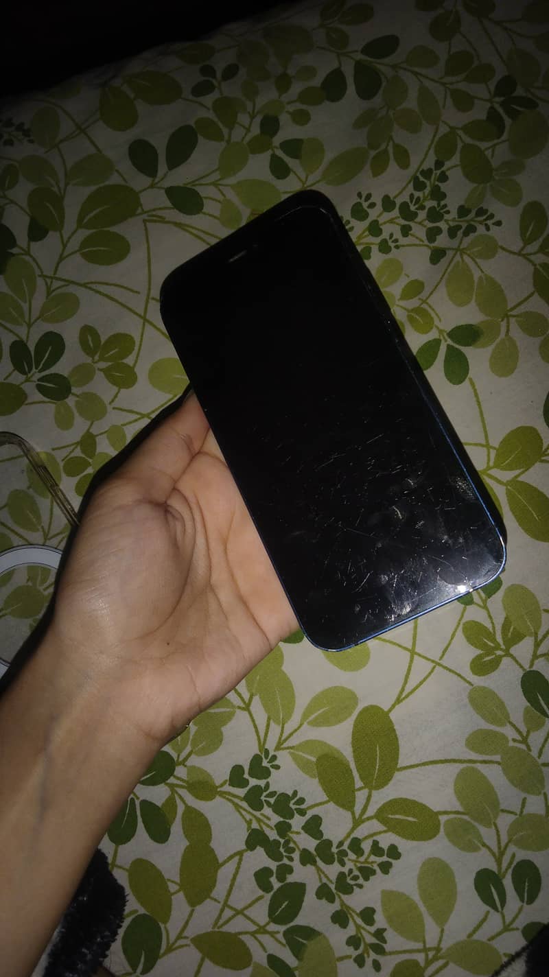 Apple iPhone 12 1