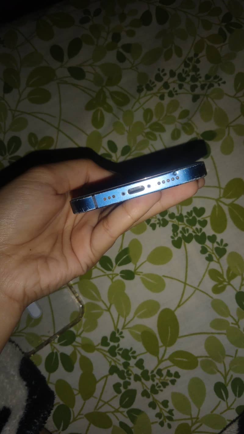Apple iPhone 12 3