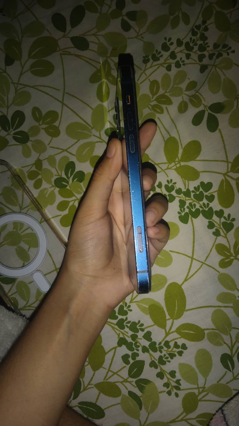 Apple iPhone 12 5