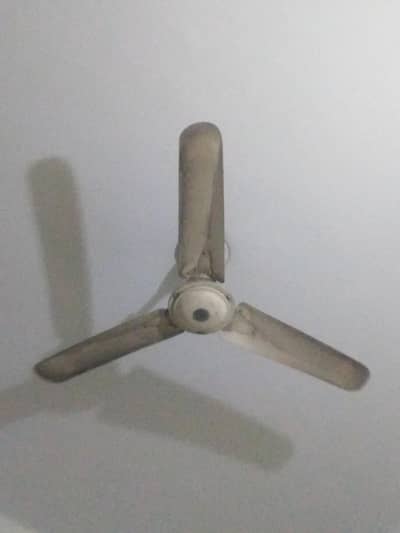 2 fans for Sale