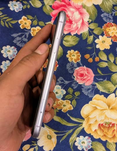 Iphone 11 Pta Approved