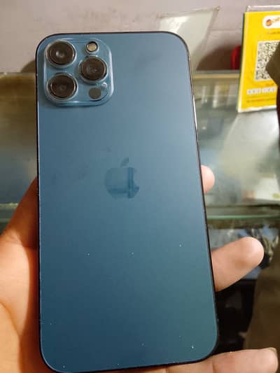 Just a WhatsApp message