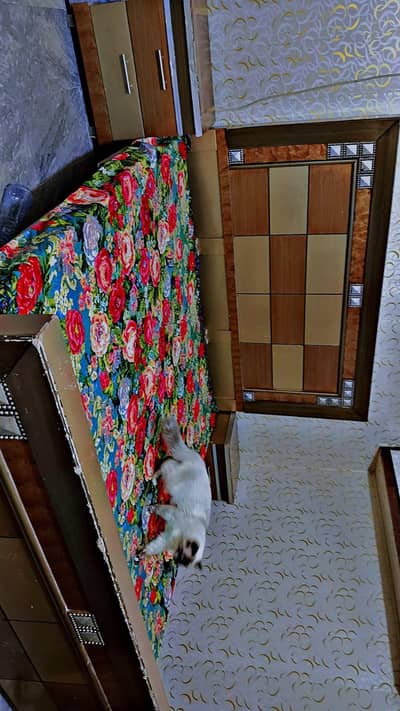 Almost new bed and good condition 10/8. . . . . I used only 2 years. . .