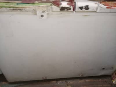 Haier freezer double door