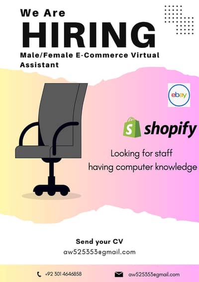 Ecommerce Virtual Assistant