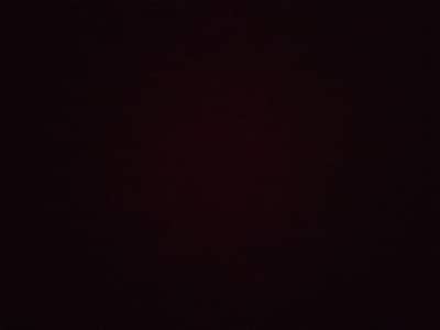 Any kind of Job Needed