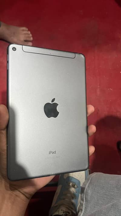 ipad mini 5