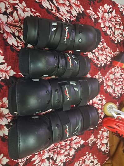 papaison adjzustable skates