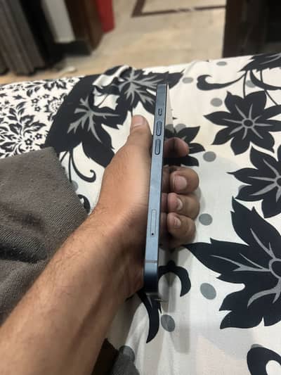 Iphone 13 256GB PTA approved