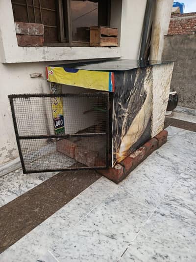 Cage for sale