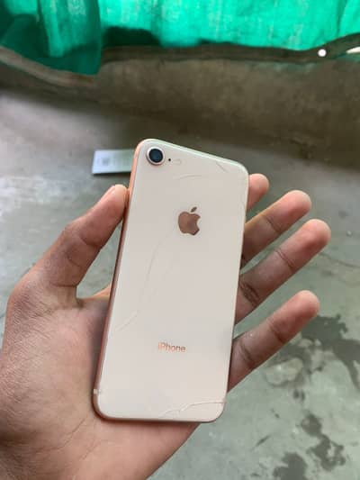 Iphone 8 pta approved