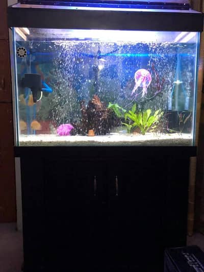 Aquarium 3 ft 12 mm glass