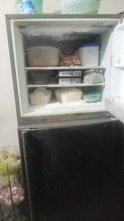 ہم نے فریج تبدیل کرنی ہے اس لیے بیج رہیں کوئی مسئلہ نہیں فریج میں