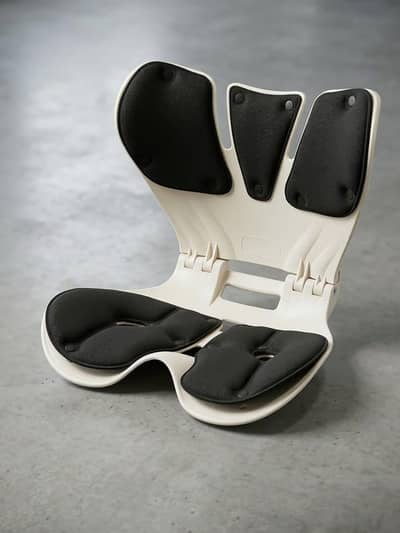 Back Pain Solution Seat