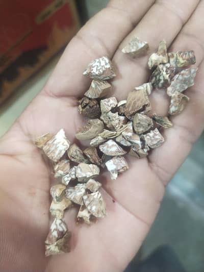 mja vivo s1 ya s1 pro mobile chaia daed