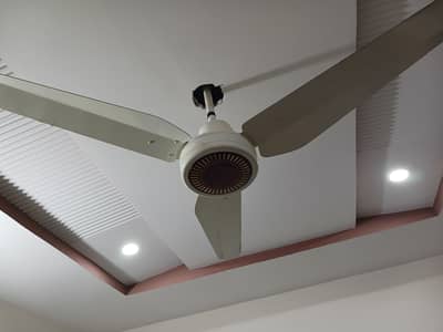 10/10 Condition Pak Fan 56 inch 100% Copper Just Rs. 6000