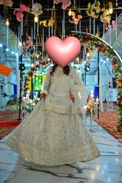 Elegant Embroidered Lehenga for Sale (Light Gold & Light Blue)