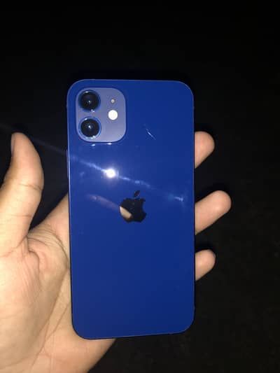 Iphone 12 pta approved