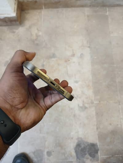 12promax Pta Approved 512 gb