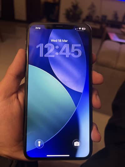 IPhone 11 Pro Max PTA 256 GB