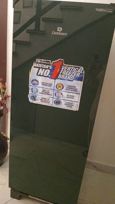 Dalliance vertical freezer