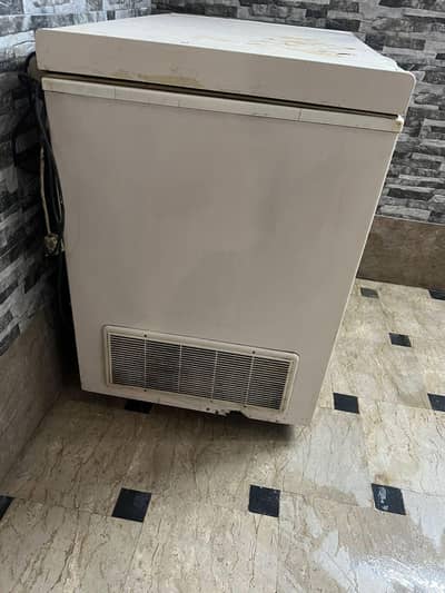 waves single door freezer