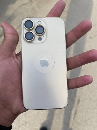 iPhone 13 Pro PTA approved