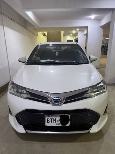 Axio WXB 4.5 grade pearl white