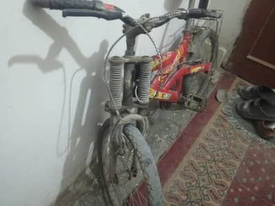 cycle sports Lion king