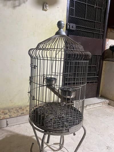 RAW AND RINGNECK VIP QUALITY CAGE