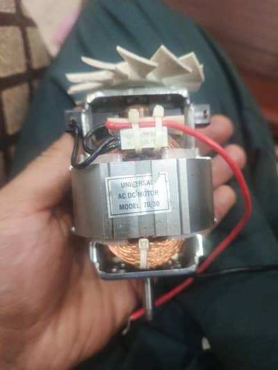 Universal motor