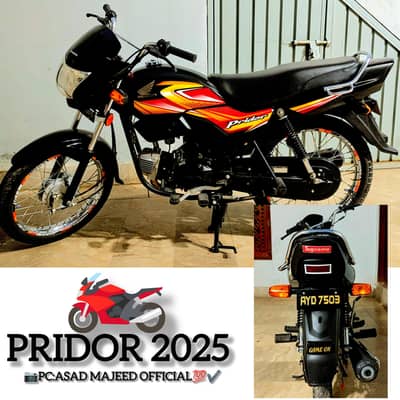 pridor 2025/2025 10/10 condition Applied For Condition