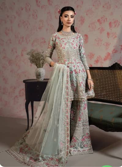 Haseens formal ready to wear wedding wear all season