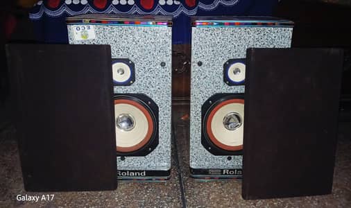 Roland double 8 inch speakers wifi for urgent sale