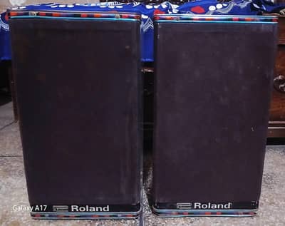 Roland double 8 inch speakers wifi for urgent sale