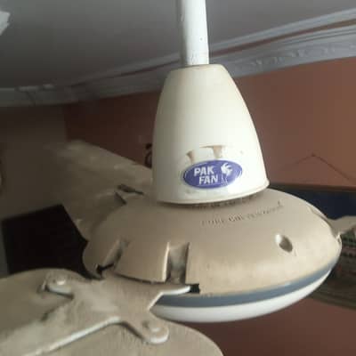 Pak Fan Ceiling Fan