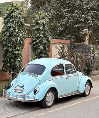 Volkswagen beetle for rent or sale