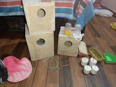 Boxes , feeder , sticks , mineral blocks, nets