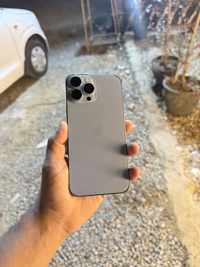 DUAL PHYSICAL 13promax