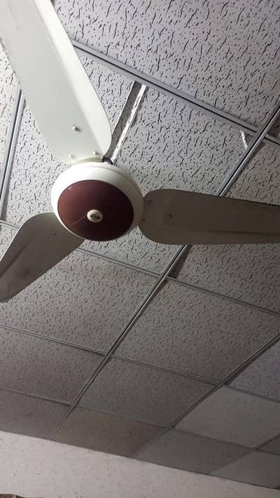ceiling fan AC 100 watt(excellent working)