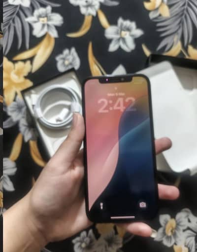 iPhone 12pro PTA  approved