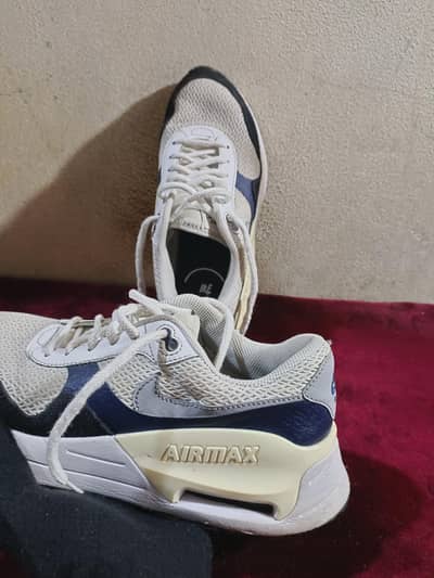 Nike Air max shoes