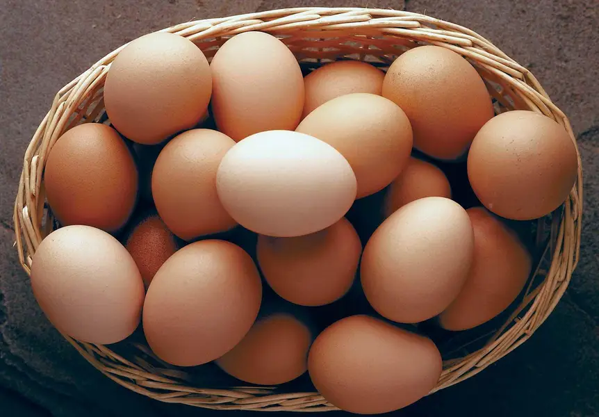 Aseel eggs — photo 2