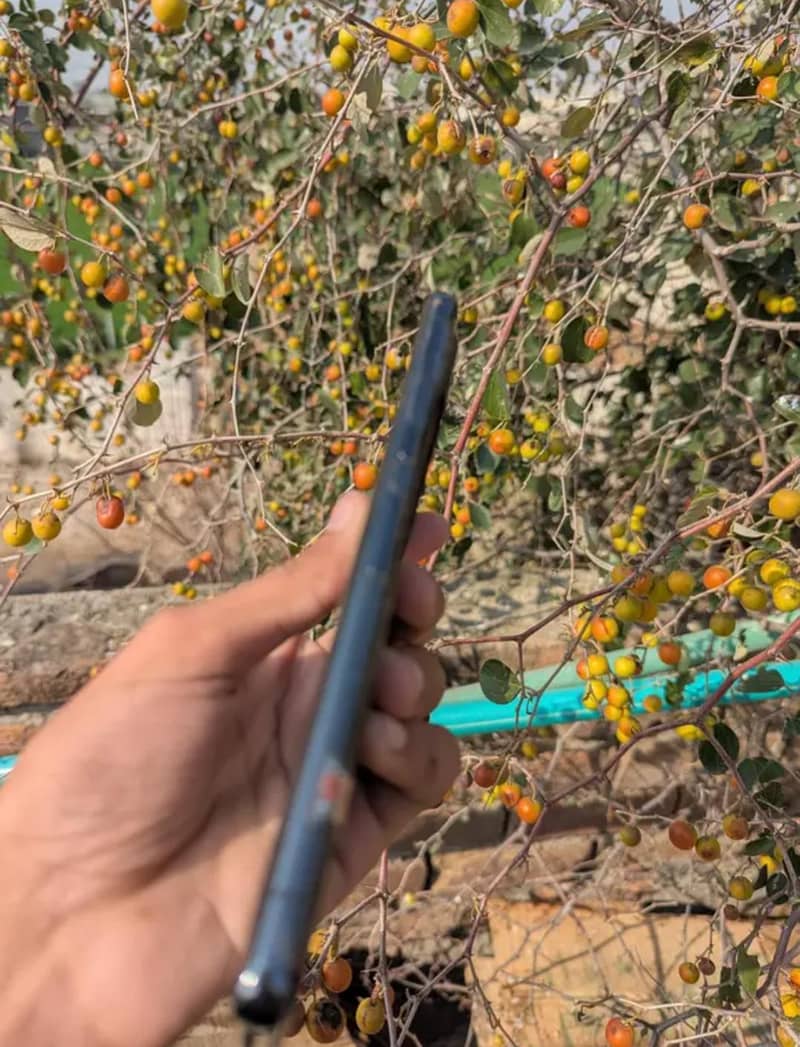 Google pixel 7 pro 2