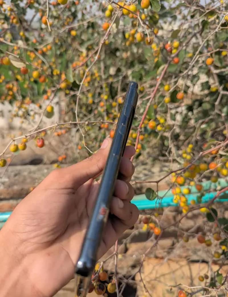 Google pixel 7 pro 4