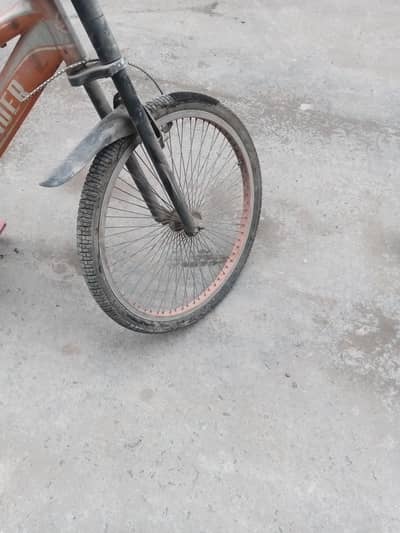 bicycle original thunder