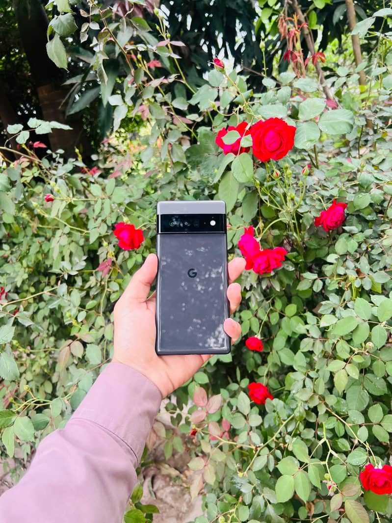Google Pixel 6 Pro 0