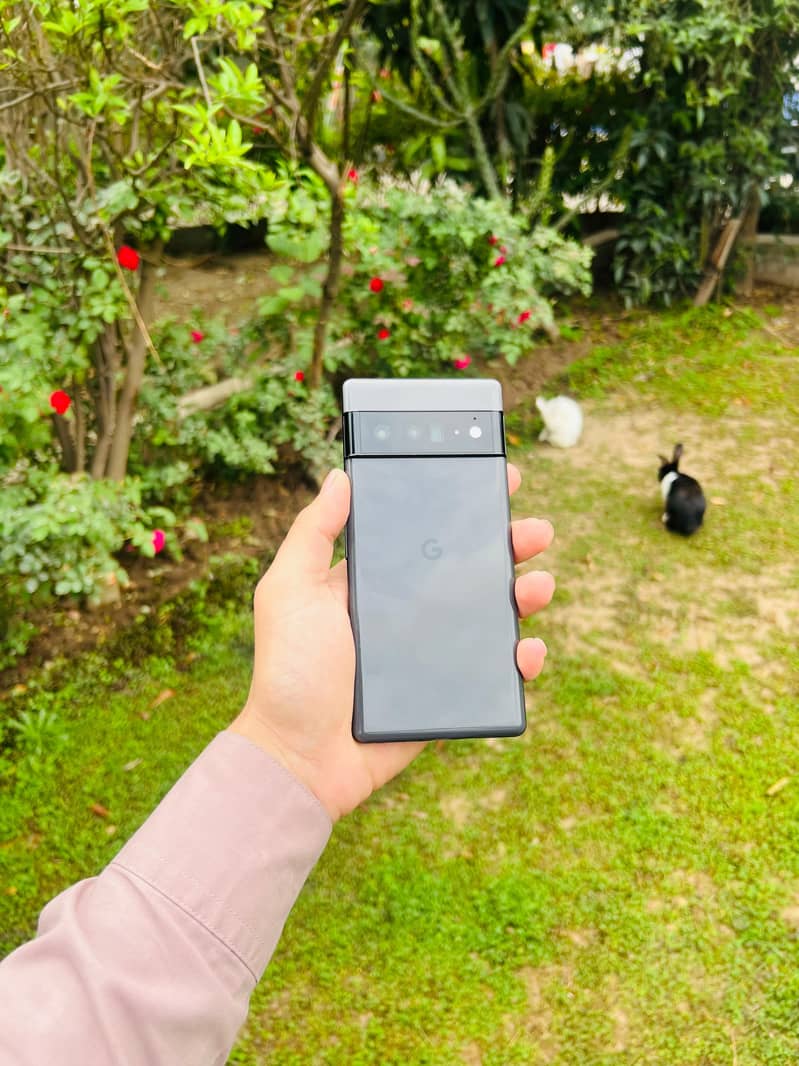 Google Pixel 6 Pro 6